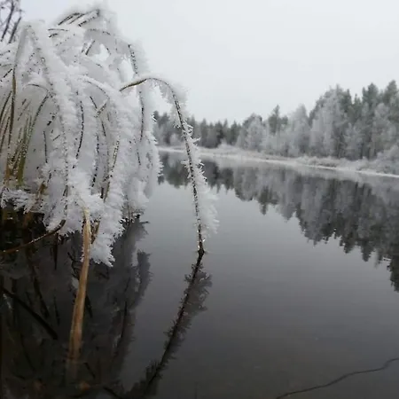 Semesterbostad Maentyniemi