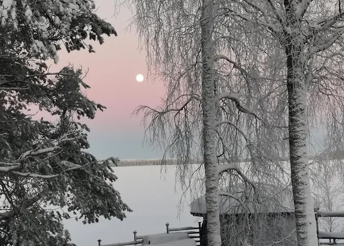 Hébergement de vacances Maentyniemi