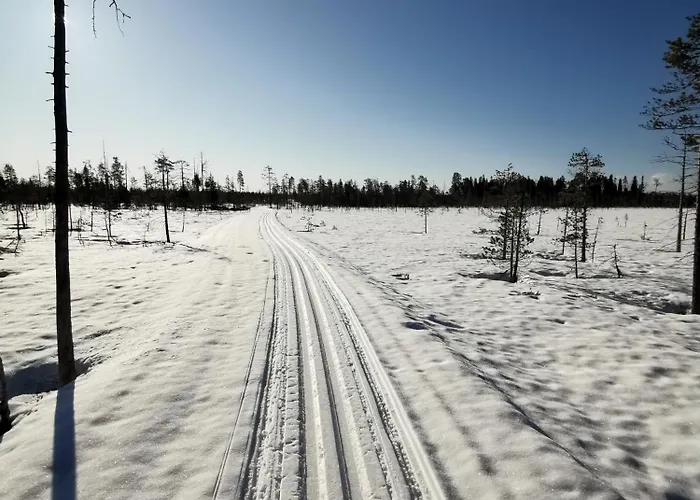 Hébergement de vacances Maentyniemi Impio