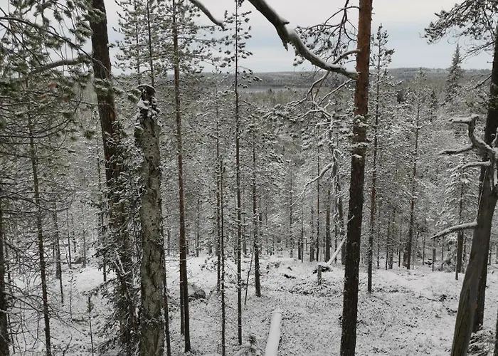 Maentyniemi Hébergement de vacances Impio