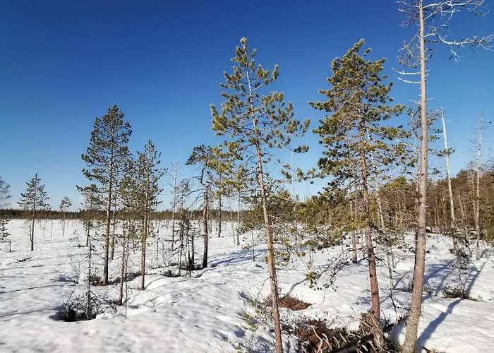 Hébergement de vacances Maentyniemi Impio