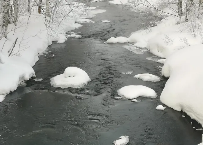 Maentyniemi Hébergement de vacances Impio