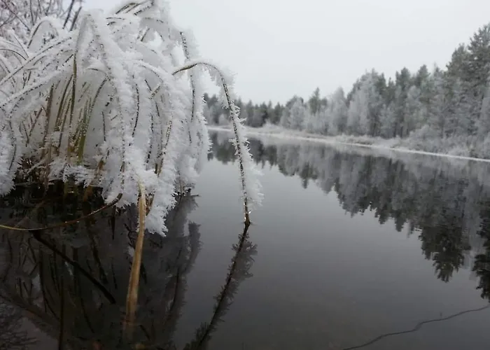 Hébergement de vacances Maentyniemi